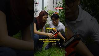 We explored Singapore's rat holes  | Mothership Inbox