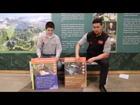 ZTCG Lesson One - How to Read the Cards