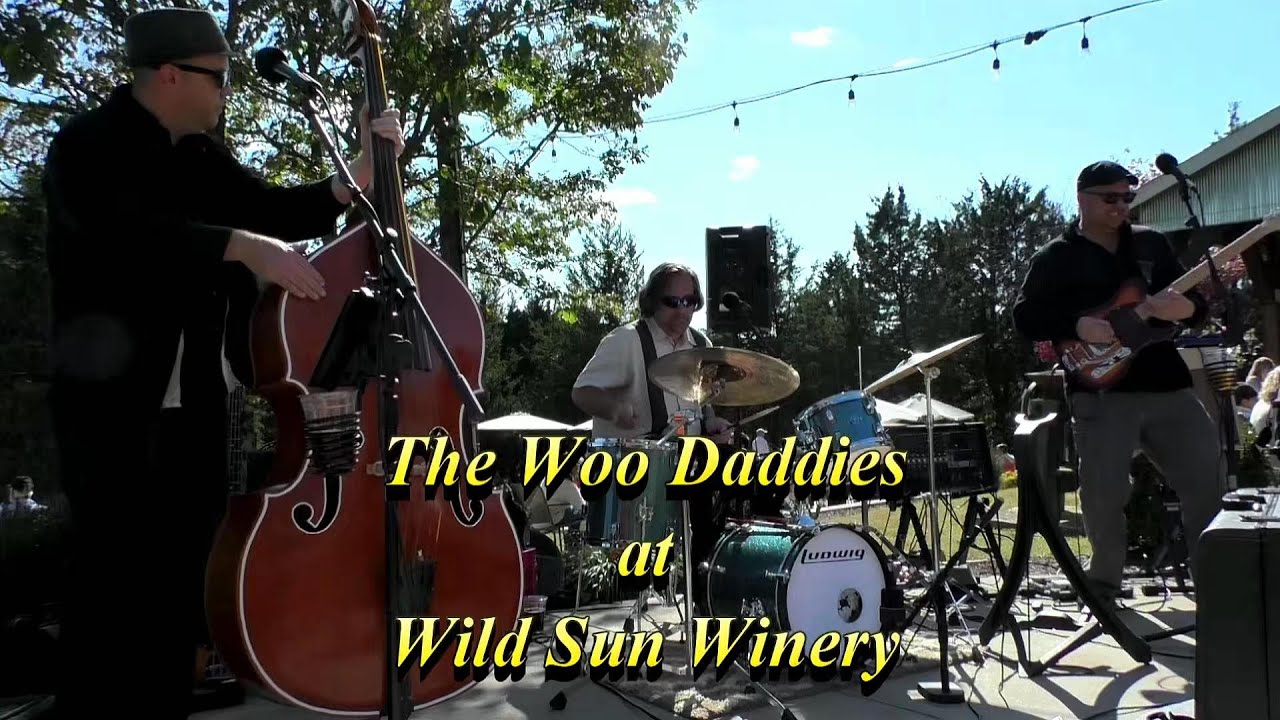 Promotional video thumbnail 3 for The Woo Daddies
