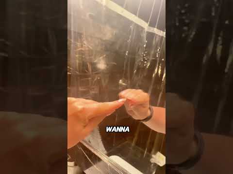 How to Check Hotel Mirrors