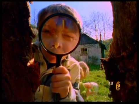 Divoký srdce - Vrať se zpátky 1999