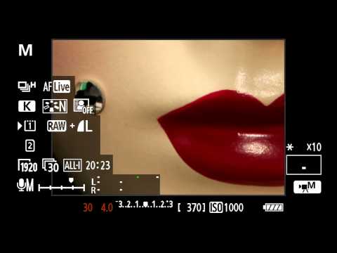Canon EOS 5D Mark III - Tutorial Basic Video Operation 8/14