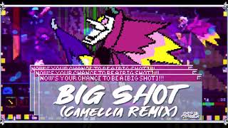 Cover art for Big Shot (Camellia remix)