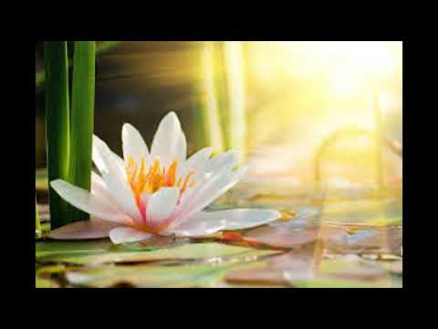 Música relajante para respirar mejor (cura catarros, resfriados...)