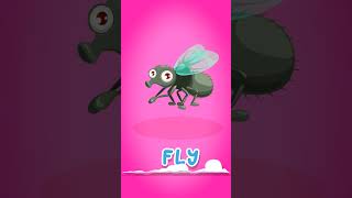 Learn insects: bumblebee grasshopper mantis fly mosquito