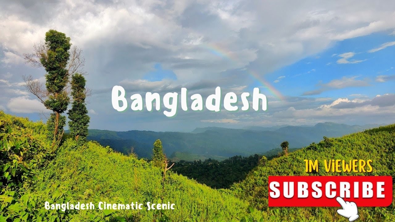 Interactive Layer (CTA)