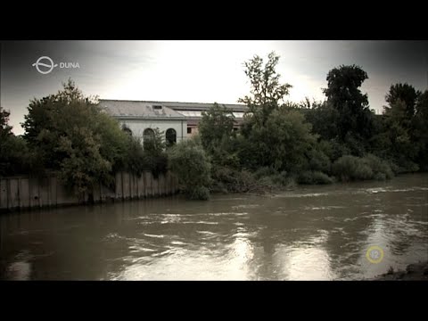 Kékfény - Megint a hajógyári sziget (2021.11.22.)