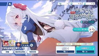 ステラソラ フユカガチャ天井！ 雪解けは芽吹きの訪れ