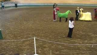 2015 Minnesota State Fair lama costume competition
