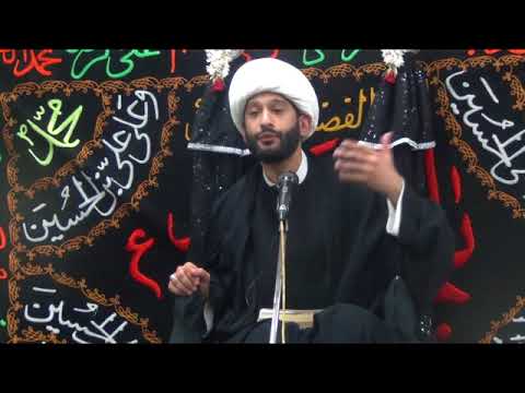 Shaykh Jaffer Ladak :25 Sep 2017: Clean water & pollution.The urgent need to sustain our environment