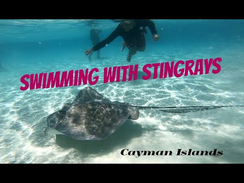 Cayman and Cozumel Island experience - Sting Ray - Gopro 7 Drone. HD.
