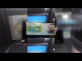 YTPMV Opening To Super Why Peter Rabbit DVD Scan