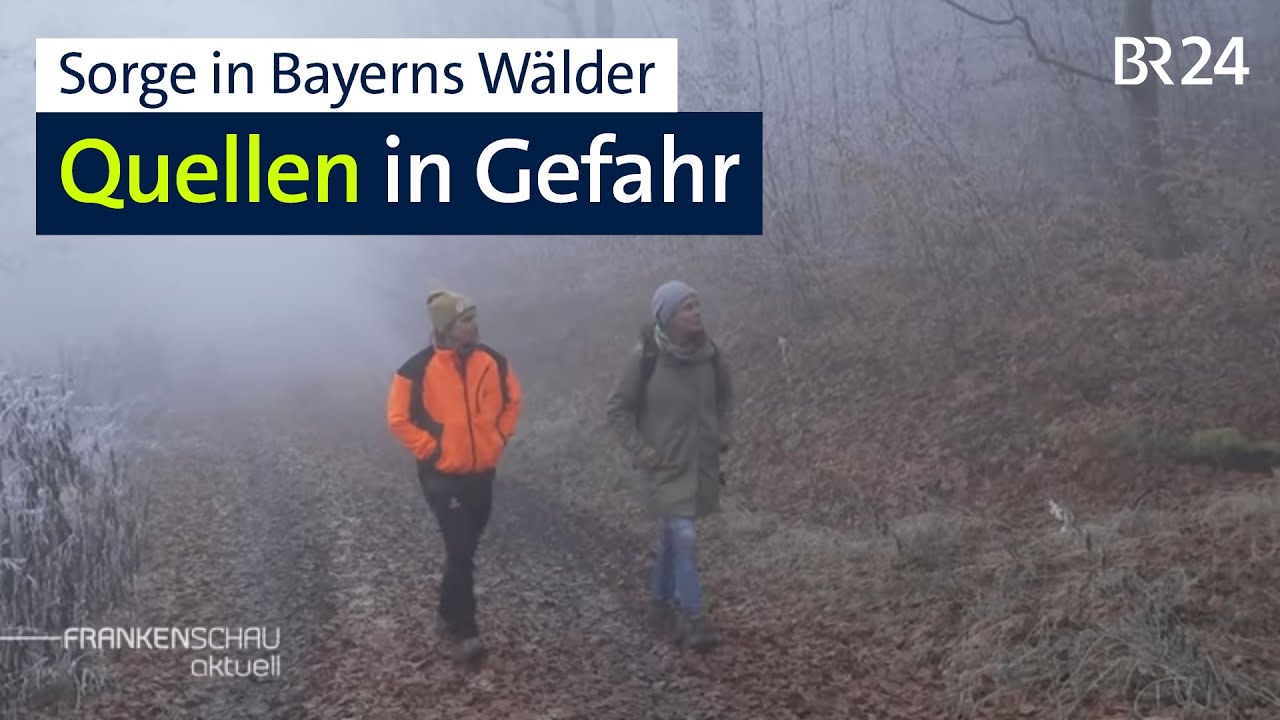 Fortwirtschaft und weniger Regen wegen Klimawandel setzen Quellen zu | BR24