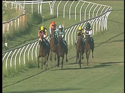 Galoppo 23/06/2017 - 5ª corsa