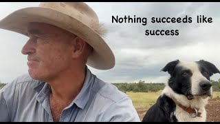 Nothing succeeds like success