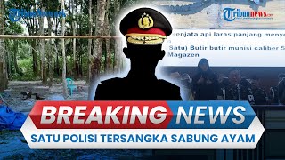 BREAKING NEWS: Anggota Polda Sumsel Tersangka Judi Sabung Ayam, di TKP saat Tragedi 3 Polisi Gugur