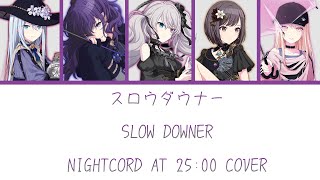 Cover art for Slow Downer