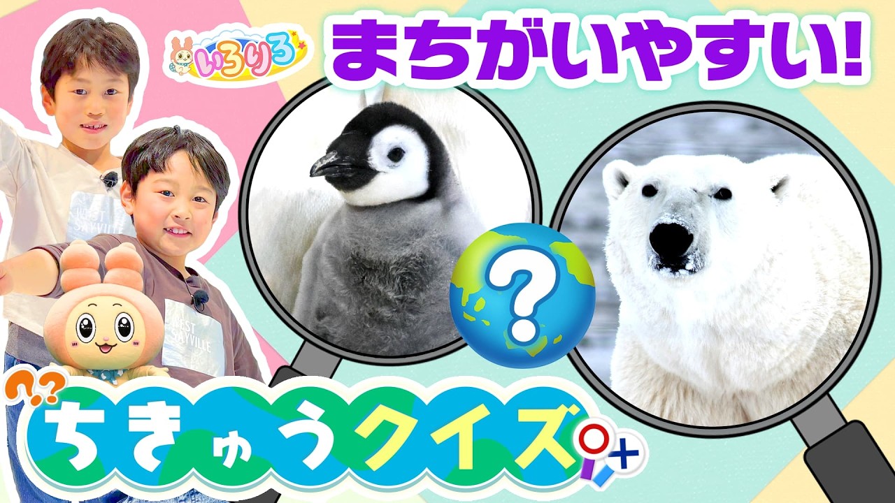 【地球クイズ】ペンギンとシロクマは南極・北極どっち？大人も間違える難問！【いろりろ公式】