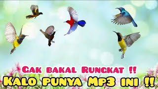 Download lagu Suara Pikat Burung Kecil Ribut Anti Rungkat🤣 mp3