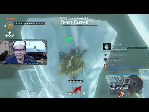 Frost Gleeok Strategies at South Tabantha Snowfield