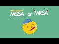 Staphylococci -  MSSA vs. MRSA
