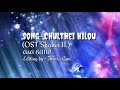 Chulthei Hilou Sahei part II...Video Lyrice[Zhavia Gun]