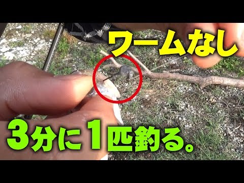 【爆釣】3分に1匹ターポンを釣って、しまいにはジグヘッドだけで釣ってみる【沖縄ルアー釣り】