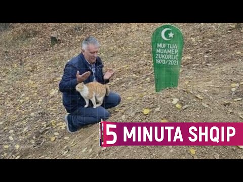 Macja nuk i ndahet pronarit të vdekkur, ishte hoxhë - Kuriozitet