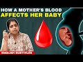 வீடியோக்கள் 40 Video thumbnail