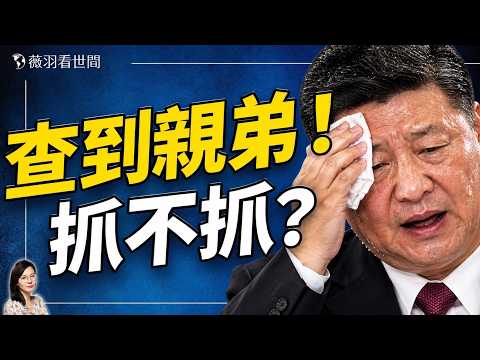 查到親王與大內總管！栗戰書習遠平全涉案？黃奇帆撕開千億金庫，習近平反腐最大死局！｜薇羽看世間 20261021
