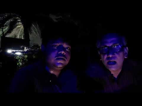 নিউ টাউনের জার্সি গরু