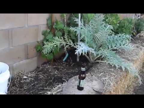 Raised Vegetable Garden Using Straw Bales Part 1