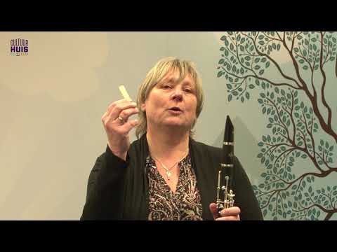 de Klarinet gebruiksaanwijzing het riet