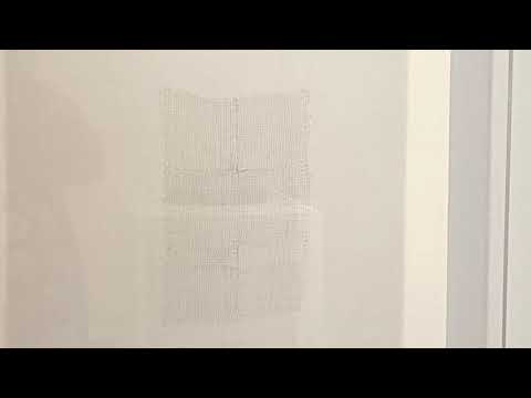 Virtual Viewing: Hair Grids with Knots by Mona Hatoum