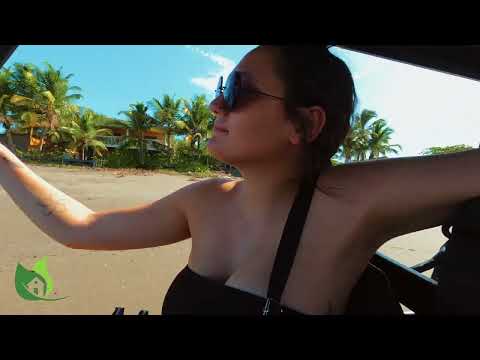 Weekend at Playa Pacifica