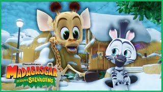 Um Dia de Neve Divertido | DreamWorks Madagascar em Português