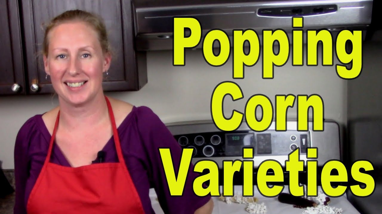Popping Corn Varieties