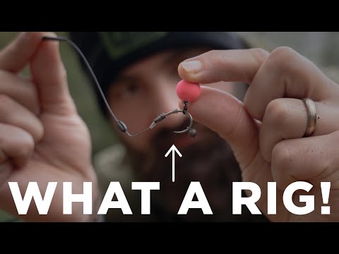 Why you NEED to try the SHOT-ON-THE-HOOK RIG!