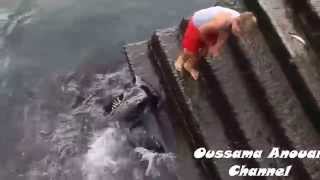 Plays With A Very Strange Friend. When We Realized What It Was? Shocking Video !