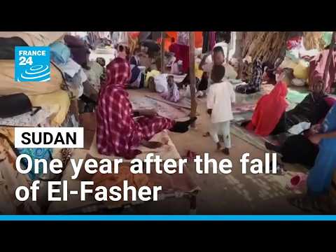 Sudan: One year after the fall of El-Fasher