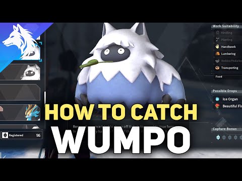 Where To Catch Wumpo (Location, Stats & Habitat) Palworld