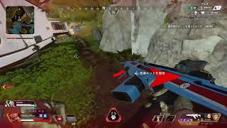 ［APEX］カジュアル　w/しょーめたる