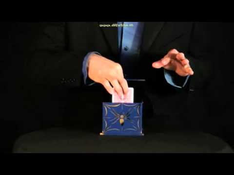 Spider Box - Card Rise Chest