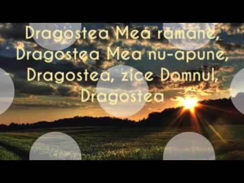 Ariana Samoilă - Pot să se mute munții | Negativ original