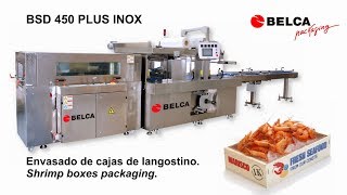 ماكينة التغليف الأفقي BELCA BSD 450 PLUS B‑2000 SIM | صورة 4 - Machineryline