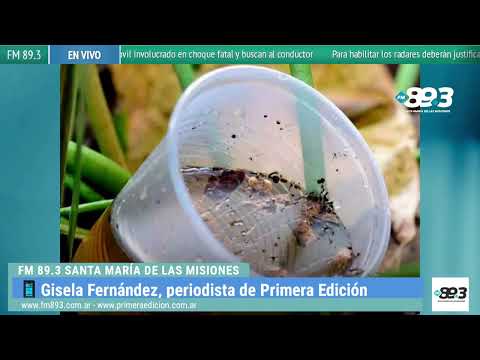 El LIRAa permite actuar focalizadamente en las zonas con mayor índice aédico