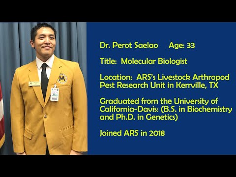 Interview with Perot Saelao
