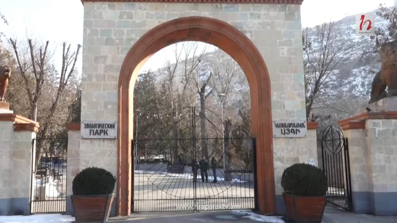 Բողոքի ակցիա Երեւանի կենդանաբանական այգու դիմաց. ուղիղ