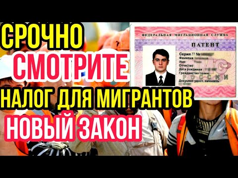 Мигранты теперь будут платить налог | Новый закон для мигрантов | По электронний Патент