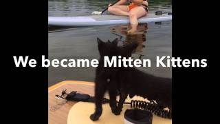 preview picture of video 'Abandoned Mitten Kittens'